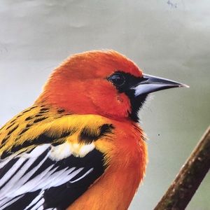 Meet your Posher, Nancy